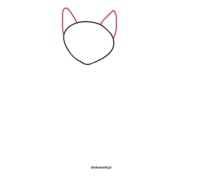 Katze zeichnen
