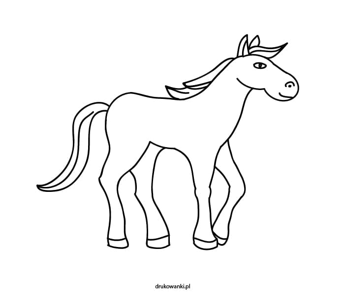 pferd zeichnungen